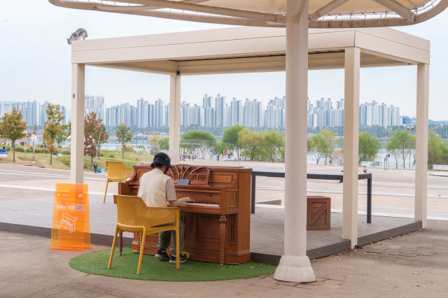 서울뚝섬유원지 피아노 사진