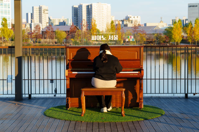 대학로 마로니에공원 피아노 사진