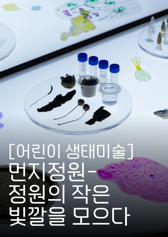 [2024 가을] 어린이 생태미술 이미지