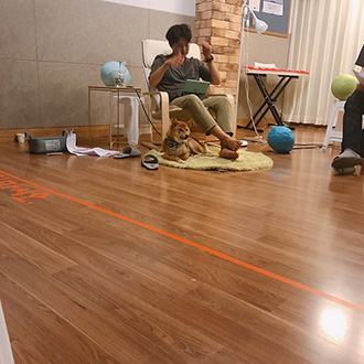 가끔은 연습중에 난입을 하기도 한다