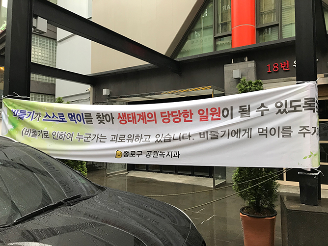 본문이미지01