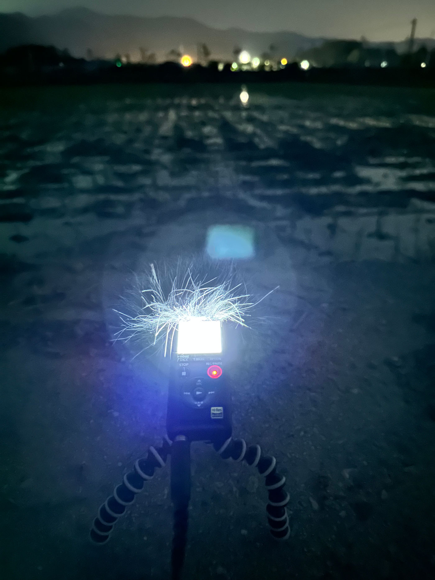 어두운 밤, 논 앞에 소형 녹음기가 배치되어 있고 녹음기의 스크린이 밝게 빛나 그 안에 쓰여져 있었을 글자가 하나도 보이지 않는다. 녹음기 스크린에서 나온 빛이 마이크 바람막이 커버(긴 털로 이루어진 커버)를 밝게 비춘다.   