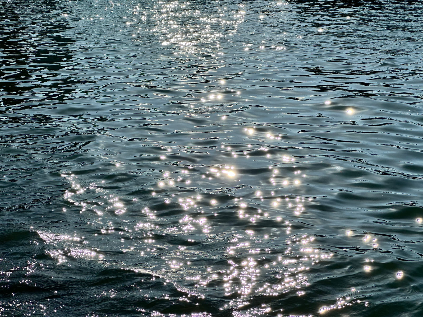 일렁이는 바다의 표면에 윤슬이 선명하게 보인다. 바닷물은 짙은 남색에 가깝고, 윤슬은 동그랗고 흰 빛을 이루어 바닷물의 표면에 떠다니는 것처럼 보인다.