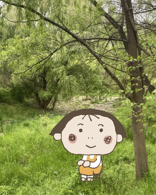 흣쨔 이미지