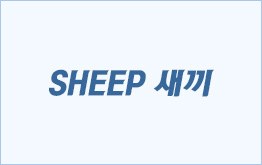 SHEEP 새끼